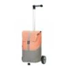 Andersen Unus Shopper Vigo Boodschappentrolley Abricot