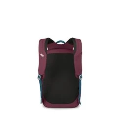 Osprey Arcane Large Day Allium Red/brindle Brown -Herentassen Verkoop image 1587