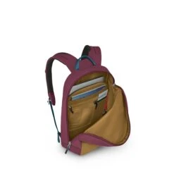 Osprey Arcane Large Day Allium Red/brindle Brown -Herentassen Verkoop image 1588