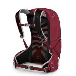 Osprey Talon 22 Backpack L/XL Cosmic Red -Herentassen Verkoop image 2399