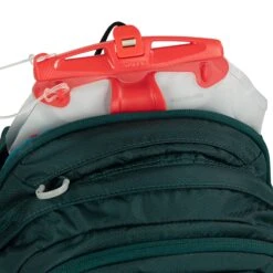 Osprey Sylva 12 Baikal Green -Herentassen Verkoop image 2432